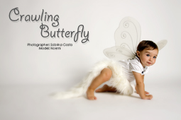 Crawling Butterfly